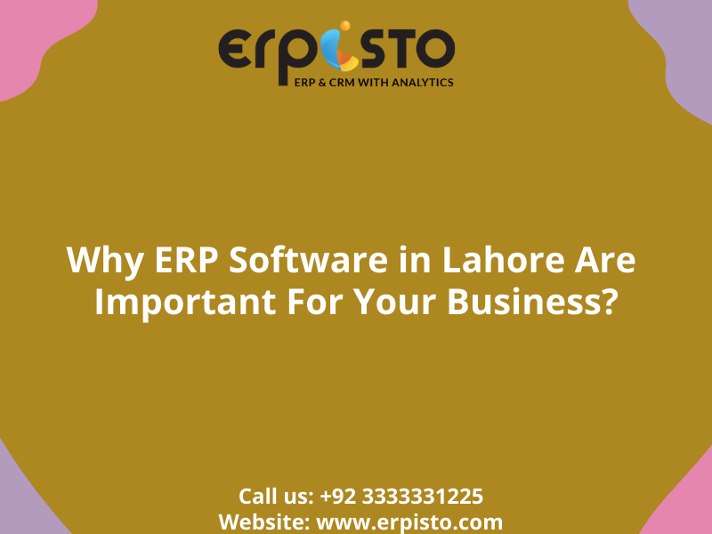 Why ERP Software in Lahore Are Important For Your Business?
