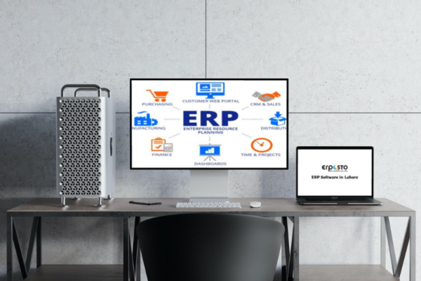 ERP Software in Lahore Pakistan How It Aids In Business Processes?