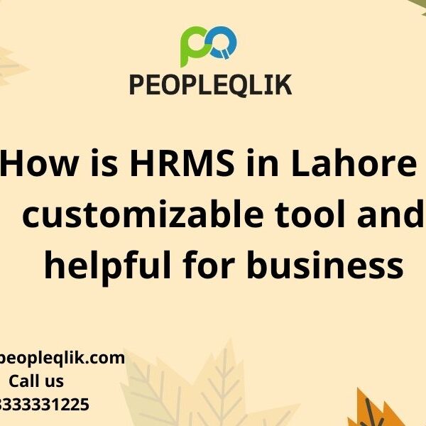 How is HRMS in Lahore a customizable tool and helpful for business?