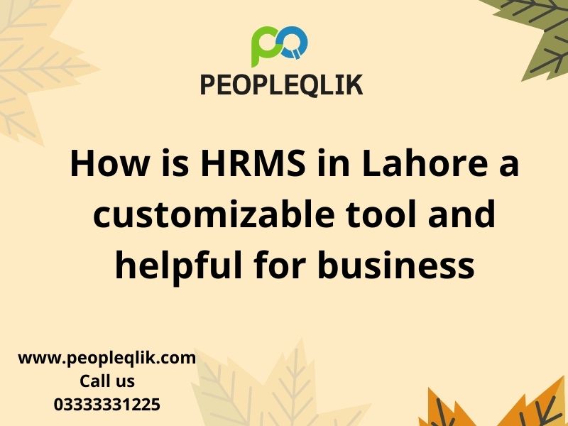 How is HRMS in Lahore a customizable tool and helpful for business?